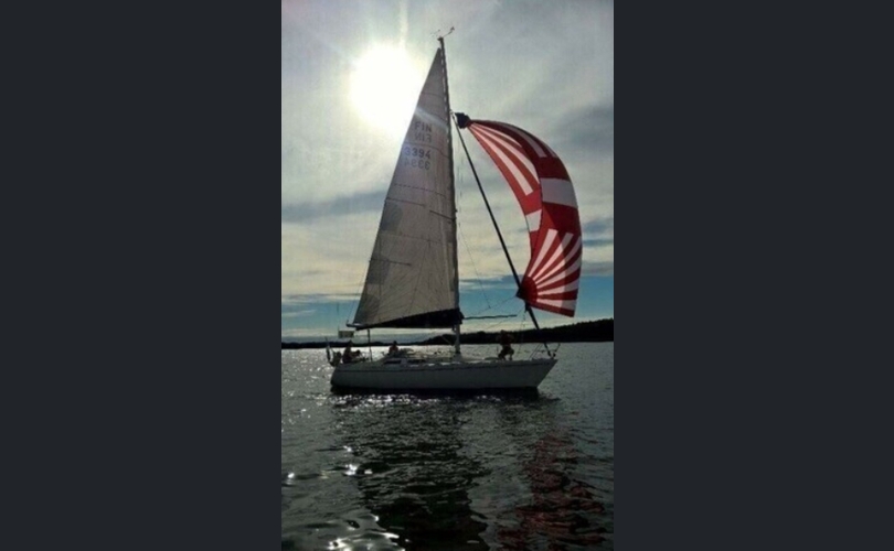 Albin Nova33-kuva-14